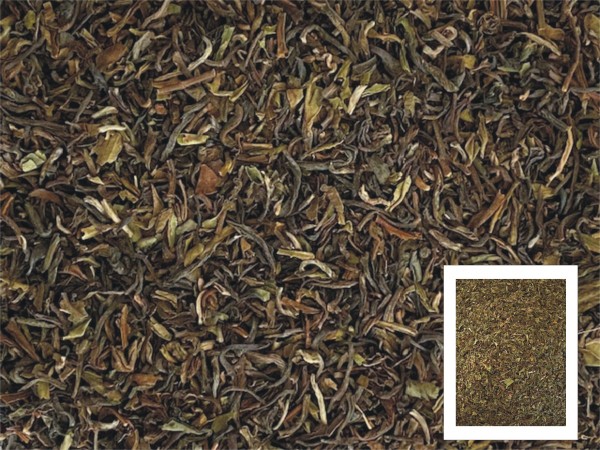 Darjeeling Le Touareg