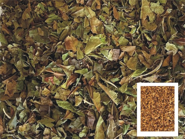Weißer Tee Earl Grey mit Jasmin