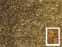 Greenbos Quitte Greenbos Quitte