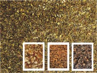 Greenbos Weihnachtstee Greenbos Weihnachtstee