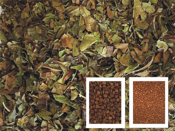 Weißer Tee Cappuccino