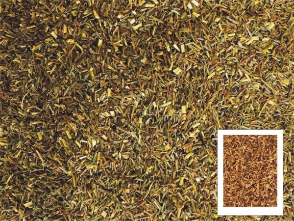 Greenbos Earl Grey mit Jasmin