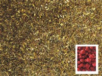 Greenbos Black Currant Greenbos Black Currant