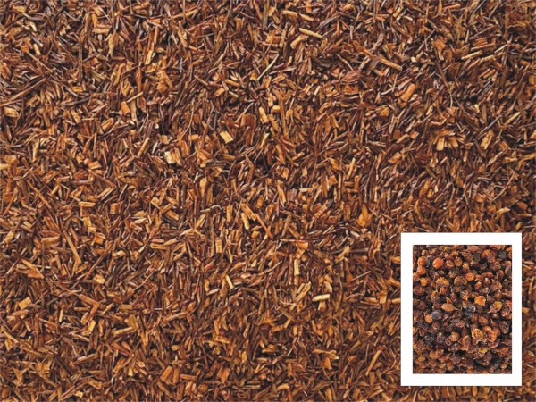 Rooibos Sanddorn - Sahne