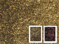 Greenbos Brombeertraum Greenbos Brombeertraum