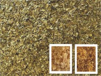 Greenbos Mango Greenbos Mango