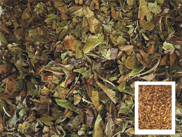 Weißer Tee Sahne - Krokant