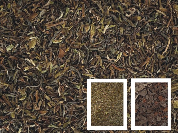 Darjeeling Schoko - Mint