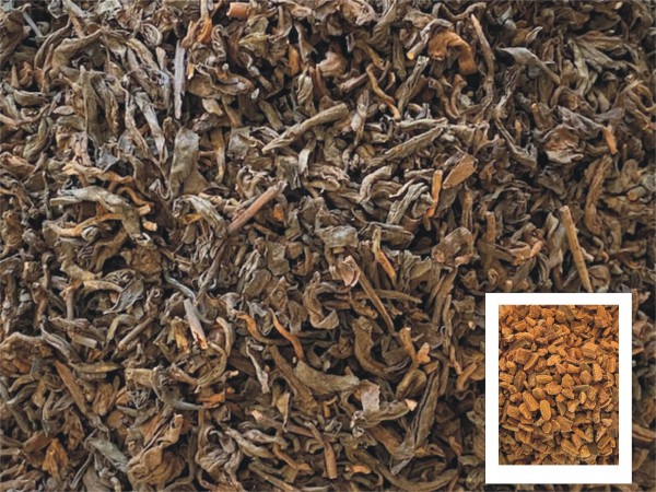 Pu Erh Tee Kaneel