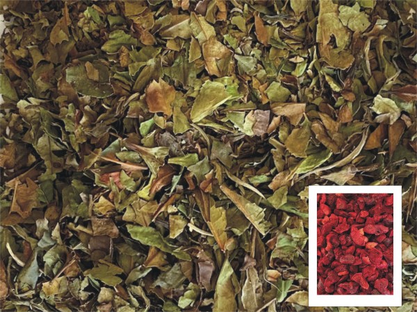 Weißer Tee Cherrymoja