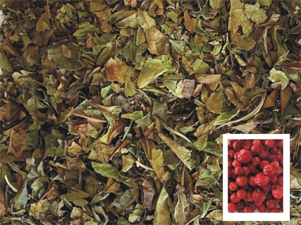 Weißer Tee Black Currant