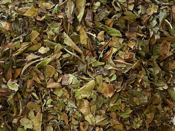 Weißer Tee Earl Grey