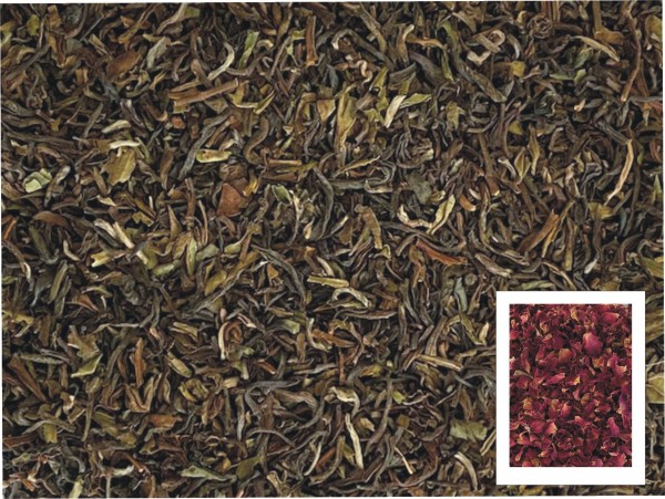 Darjeeling Tropen