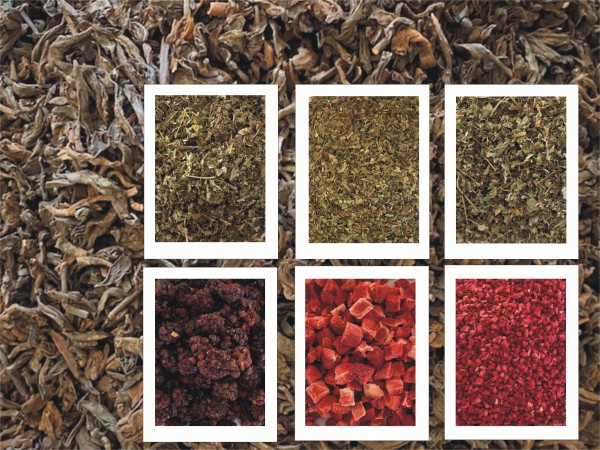 Pu Erh Tee Waldfrucht